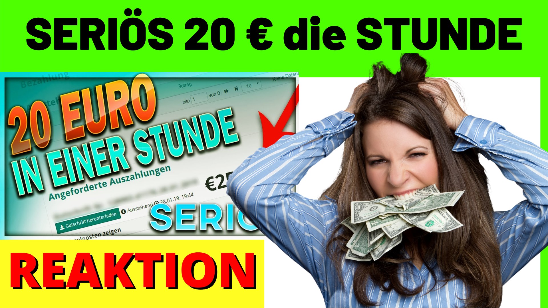 Geld verdienen im Internet | SERIÖS 20€ in EINER STUNDE | testbird erfahrungen